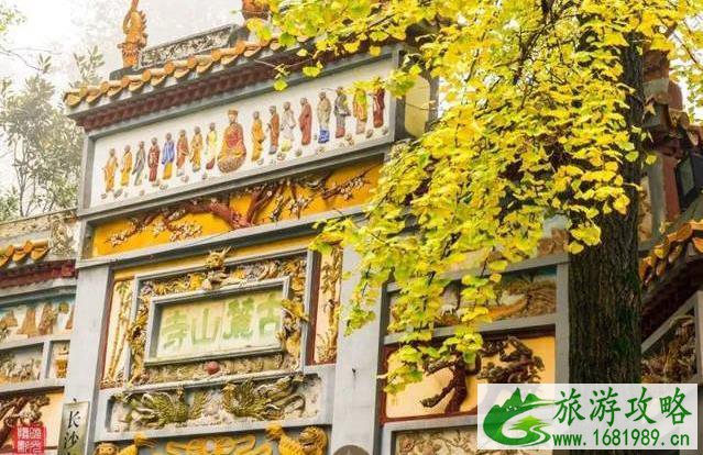 中国最美红叶观赏地 中国最美红叶观赏地