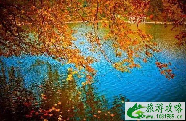 中国最美红叶观赏地 中国最美红叶观赏地