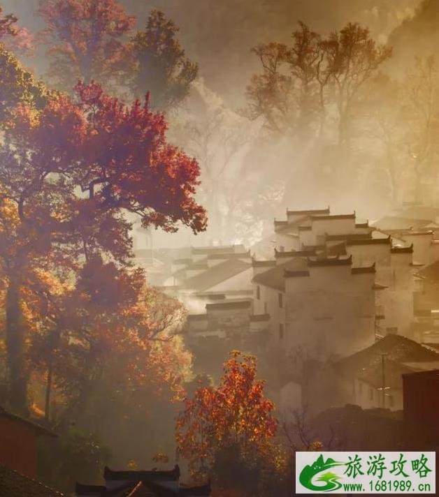 中国最美红叶观赏地 中国最美红叶观赏地