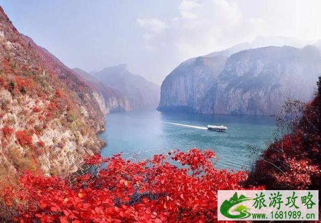 中国最美红叶观赏地 中国最美红叶观赏地