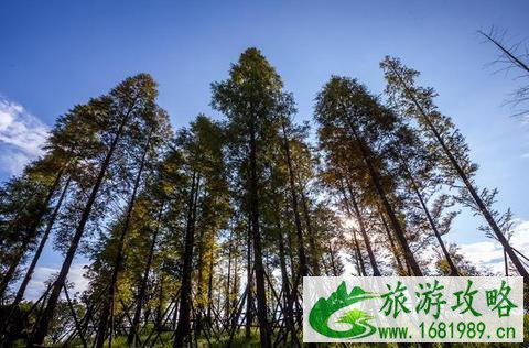 巴溪洲在哪里 怎么去+游玩攻略 巴溪洲在哪里 怎么去+游玩攻略
