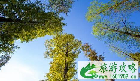 巴溪洲在哪里 怎么去+游玩攻略 巴溪洲在哪里 怎么去+游玩攻略
