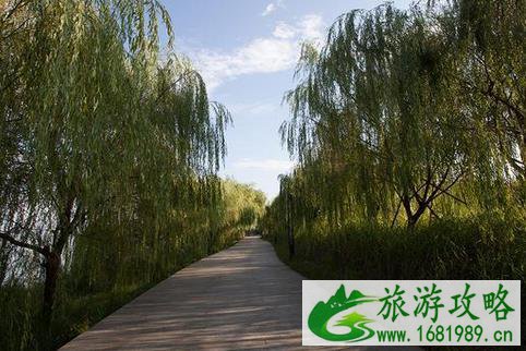巴溪洲在哪里 怎么去+游玩攻略 巴溪洲在哪里 怎么去+游玩攻略