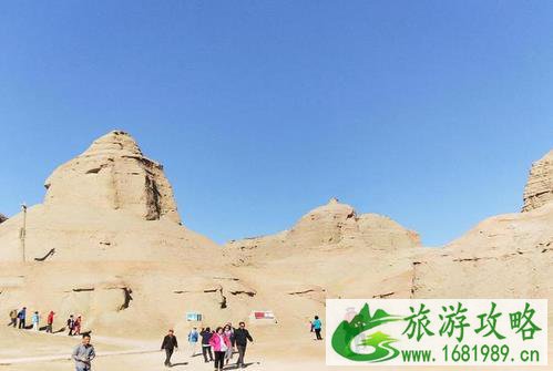 2022新疆克拉玛依向日葵国庆开放 2022新疆克拉玛依向日葵国庆开放