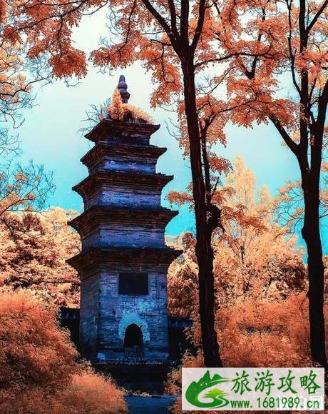 2022国庆汝州都有啥好玩的 汝州什么好玩的 2022国庆汝州都有啥好玩的 汝州什么好玩的