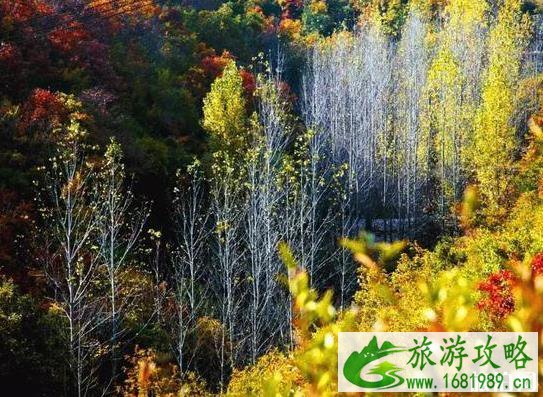 2022国庆汝州都有啥好玩的 汝州什么好玩的 2022国庆汝州都有啥好玩的 汝州什么好玩的