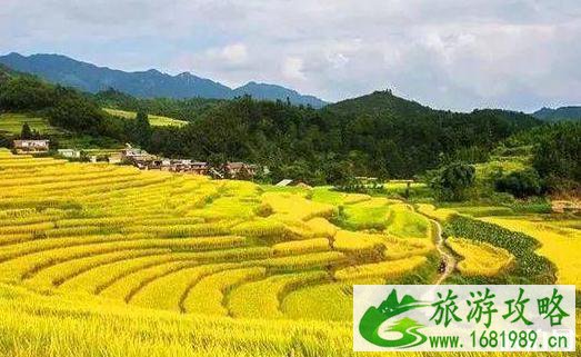 十一广东省内3天游攻略