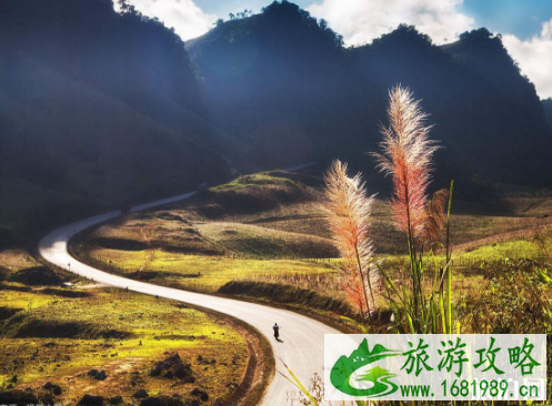 去越南手机怎么上网 在越南怎么打中国电话 去越南手机怎么上网 在越南怎么打中国电话