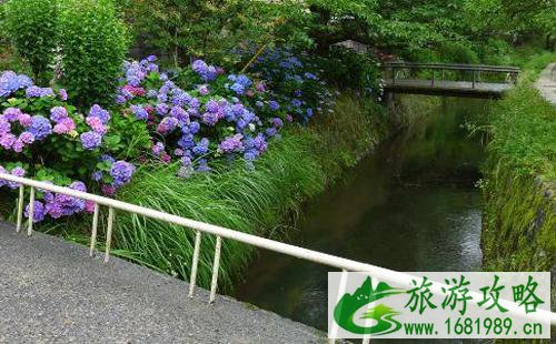 京都的秋天看什么 京都秋天旅游攻略
