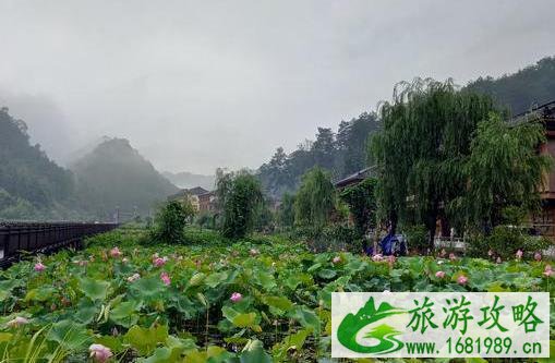 黔南水葩古寨有什么好玩的 黔南水葩古寨有什么好玩的
