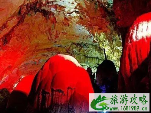 特克斯为什么不堵车 特克斯必玩景点推荐 特克斯为什么不堵车 特克斯必玩景点推荐