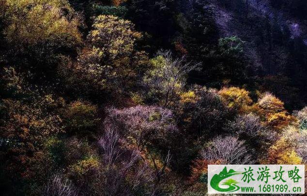 国庆节自驾游推荐路线 国庆节自驾游推荐路线