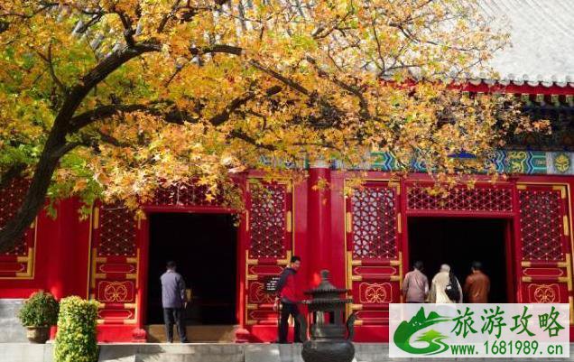 国庆节自驾游推荐路线 国庆节自驾游推荐路线