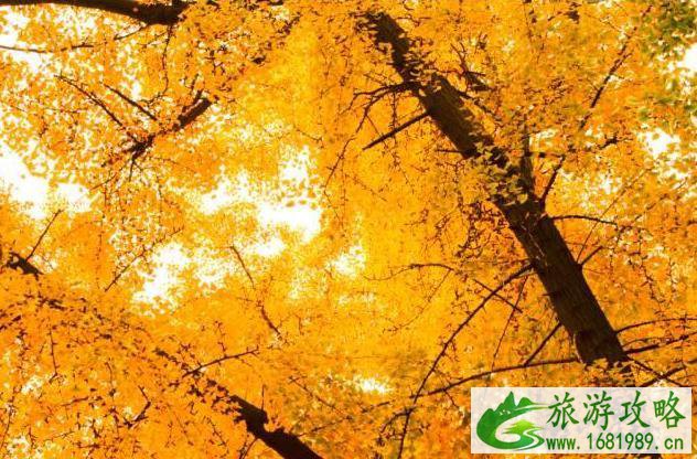 国庆节自驾游推荐路线 国庆节自驾游推荐路线