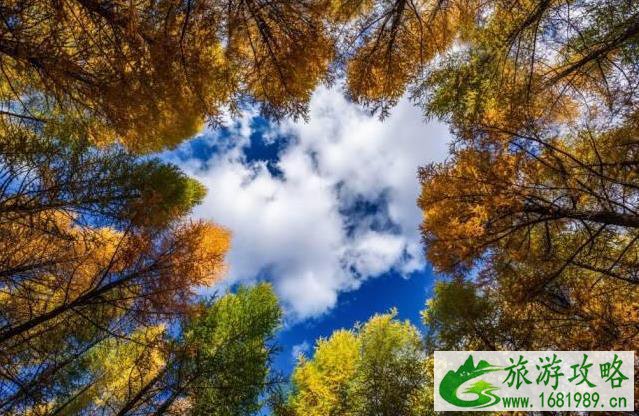 国庆节自驾游推荐路线 国庆节自驾游推荐路线