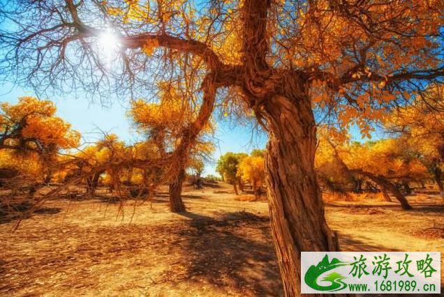 国庆节自驾游推荐路线 国庆节自驾游推荐路线