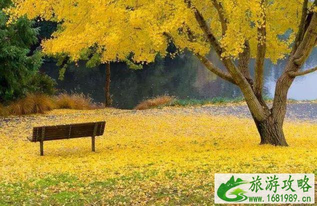 国庆节自驾游推荐路线 国庆节自驾游推荐路线