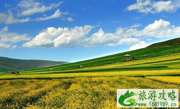 国庆节去青海旅游景区优惠的有哪些2022