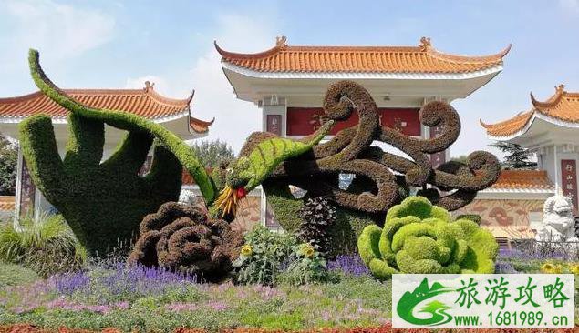 安阳有哪些好看的花坛 安阳有哪些好看的花坛