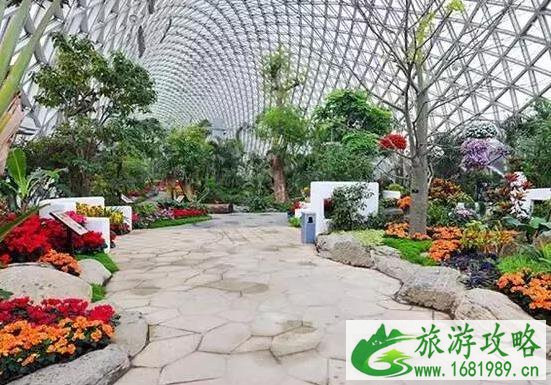 上海旅游推荐景点