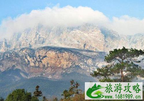 大国之旅评选结果是怎样的 云台山拔得头筹吗 大国之旅评选结果是怎样的 云台山拔得头筹吗
