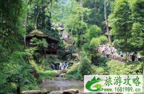 青城山后山需要选择索道上下山吗 青城山后山需要选择索道上下山吗