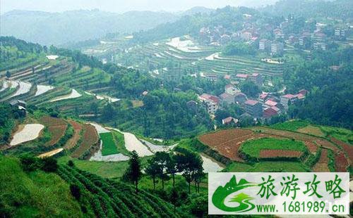 2022温州十大旅游景点推荐 温州必去的景点有哪些 2022温州十大旅游景点推荐 温州必去的景点有哪些