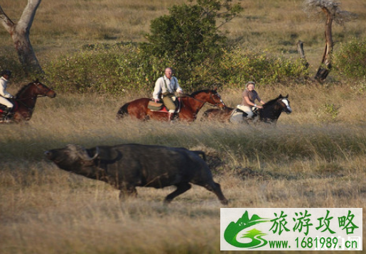东非有哪些游猎方式 什么是游猎