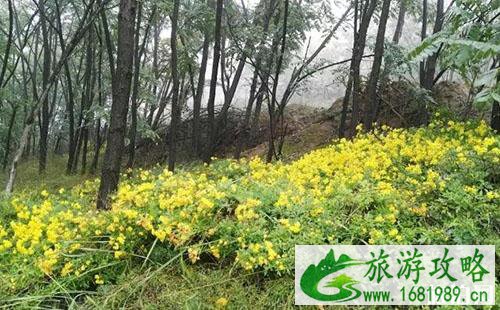 平凉虎山好玩吗 平凉虎山游玩攻略 平凉虎山好玩吗 平凉虎山游玩攻略