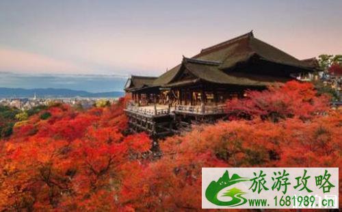 日本枫叶2022预测最佳时间 日本枫叶最佳观赏点推荐 日本的枫叶什么时候红 日本枫叶2022预测最佳时间 日本枫叶最佳观赏点推荐 日本的枫叶什么时候红