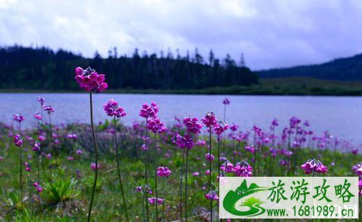 香格里拉有哪些小众景点 香格里拉小众景点推荐 香格里拉有哪些小众景点 香格里拉小众景点推荐