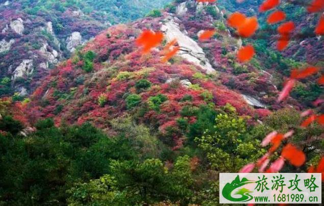 洛阳周边好玩的地方 洛阳周边好玩的地方