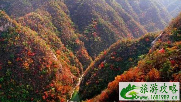 洛阳周边好玩的地方 洛阳周边好玩的地方