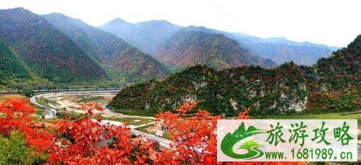 凤县秋天旅游景点介绍 凤县秋天旅游线路推荐