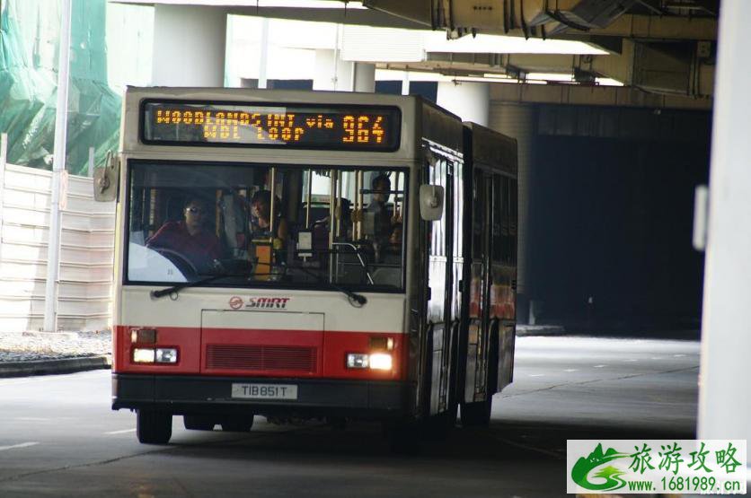带孩子去新加坡住哪 新加坡亲子游攻略注意事项 带孩子去新加坡住哪 新加坡亲子游攻略注意事项
