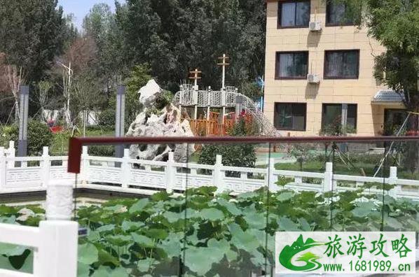 新晋网红 山东曲阜高速服务区 曲阜高速服务区在哪