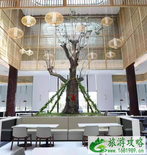 新晋网红 山东曲阜高速服务区 曲阜高速服务区在哪