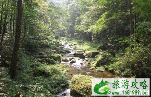张家界十一会有雨吗 张家界下雨适合旅游吗
