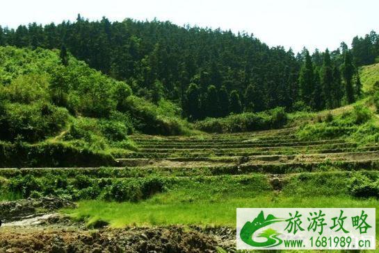 岳阳有哪些小众景点值得去 岳阳小众景点推荐 岳阳有哪些小众景点值得去 岳阳小众景点推荐