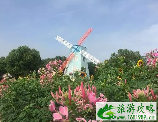 2022东西湖郁金香百花节时间+地点+门票价格 2022东西湖郁金香百花节时间+地点+门票价格