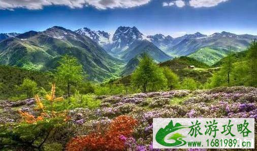 云南适合情侣去的地方有哪些