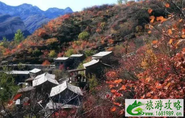 国内枫叶哪里最好看 国内枫叶哪里最好看