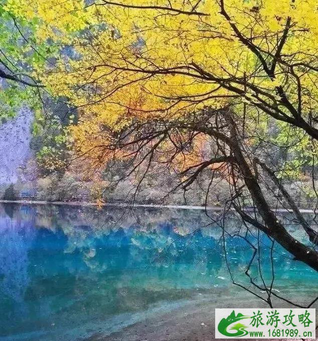 国内枫叶哪里最好看 国内枫叶哪里最好看