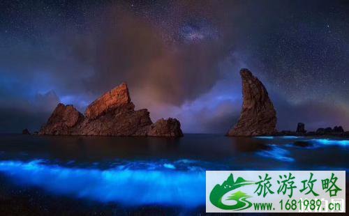 波多黎各荧光海滩游玩攻略