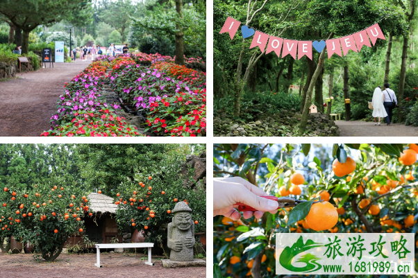 2022休爱里粉黛乱子草节时间+地点+门票