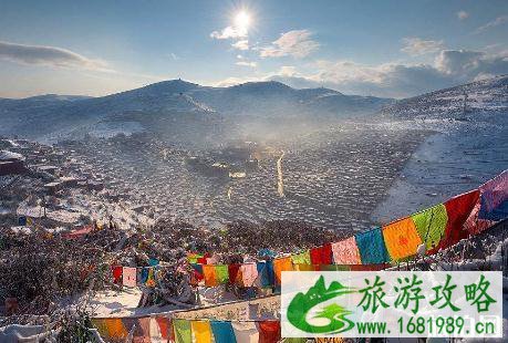 去西藏会有高原反应吗 去西藏高反了怎么办 去西藏会有高原反应吗 去西藏高反了怎么办