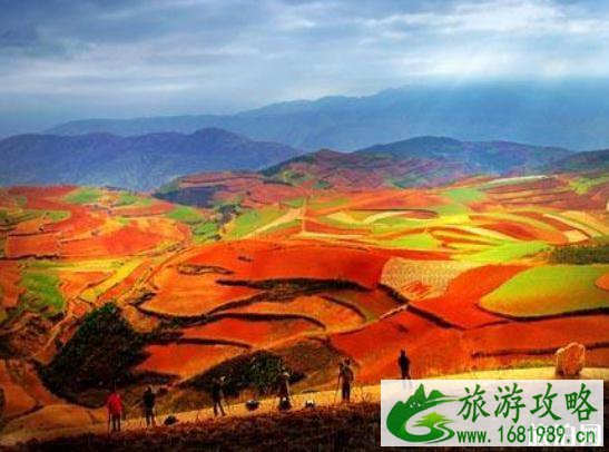 东川红土地几月去最美 云南东川红土地旅游攻略2022 东川红土地几月去最美 云南东川红土地旅游攻略2022