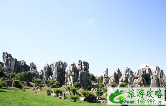 秋天适合去哪旅游 2022九月去哪里旅游最好 国庆旅游推荐 秋天适合去哪旅游 2022九月去哪里旅游最好 国庆旅游推荐