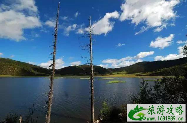 最适合秋季旅游的地方 最适合秋季旅游的地方