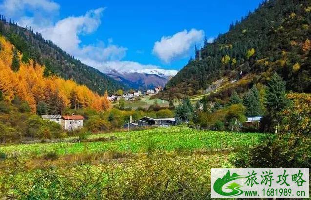 最适合秋季旅游的地方 最适合秋季旅游的地方